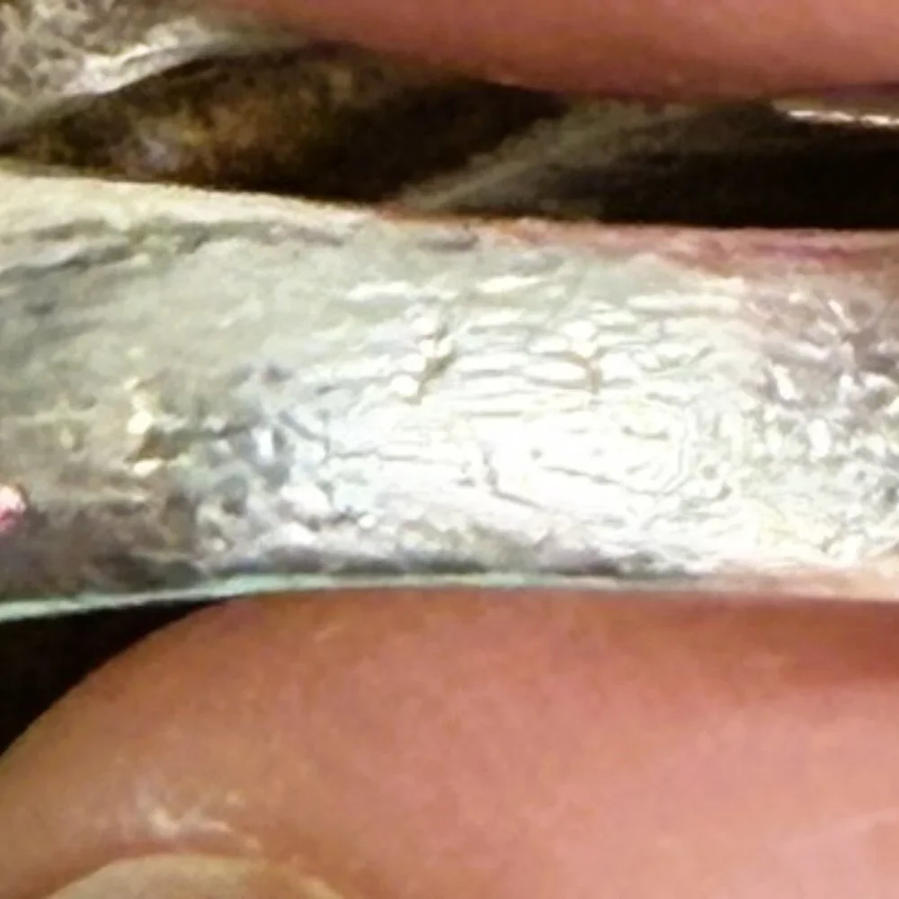 Vintage Tiffany & Co. Shrimp Dome Ring 925 and 14K size 4.5